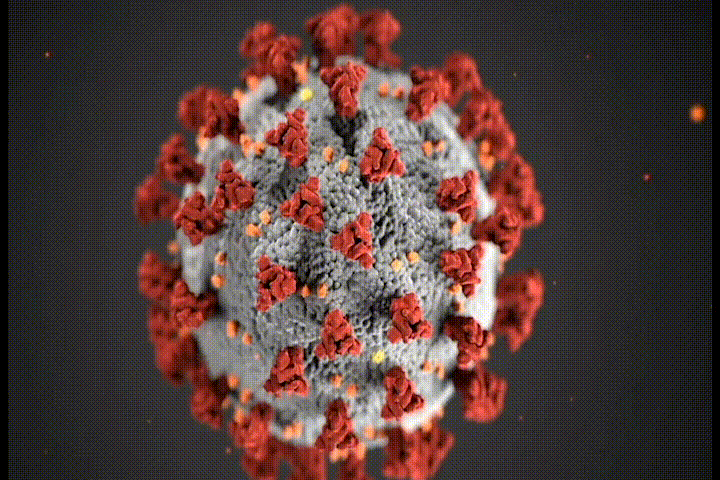Virus Animation