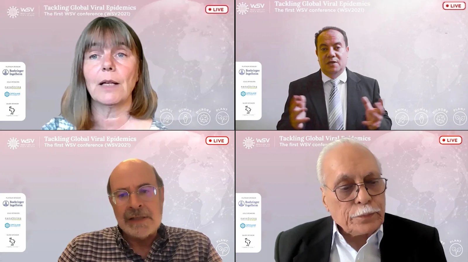 WSV2021  Online meeting