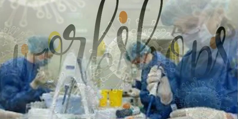 Courses and Workshops